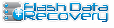 Memory Stick Data Recovery | USB Flash Drive Recovery | Compact Flash Recovery Services